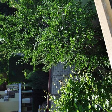 敖德萨 Dacha V Arkadii酒店 外观 照片